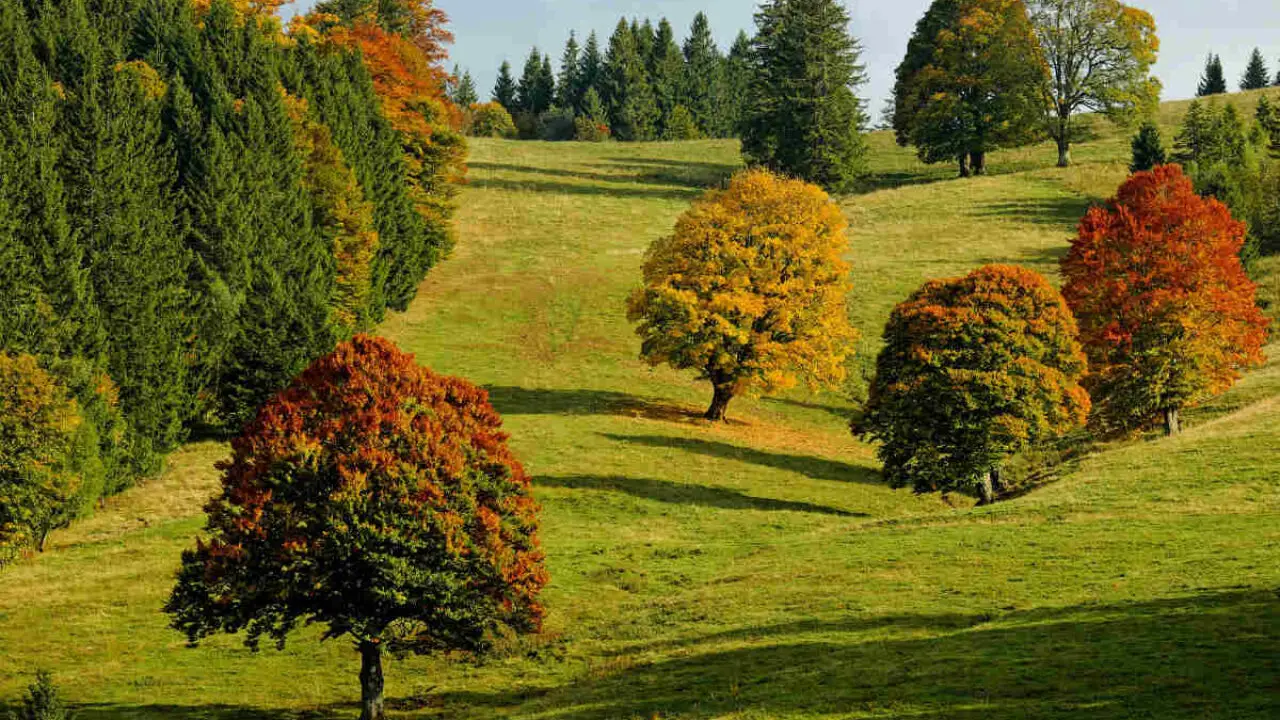 Articoli da leggere